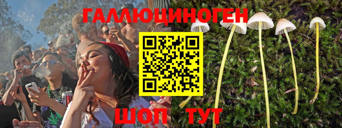 Псилоцибиновые грибы Psilocybine cubensis  Псилоцибиновые грибы Psilocybine cubensis  Холмск  где можно купить   Вход с VPN 
