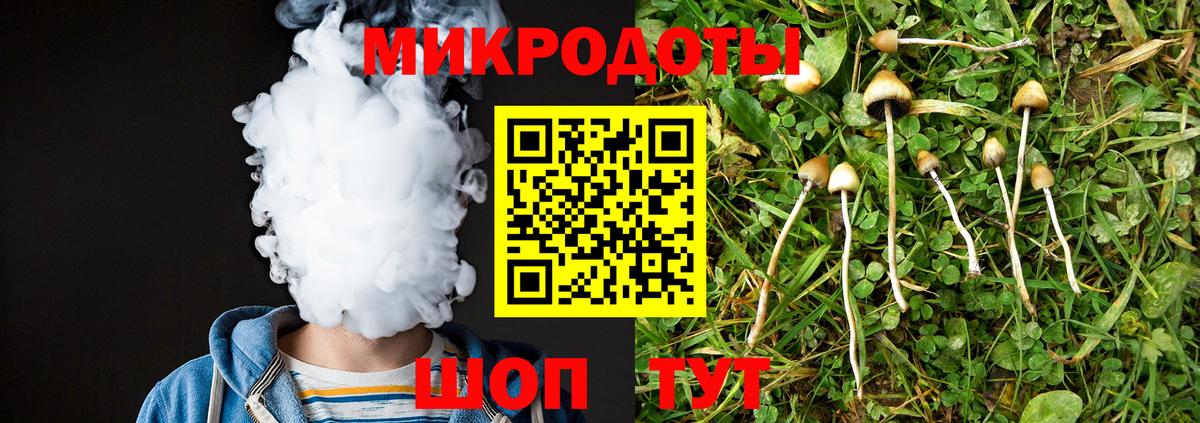 Псилоцибиновые грибы Cubensis Холмск